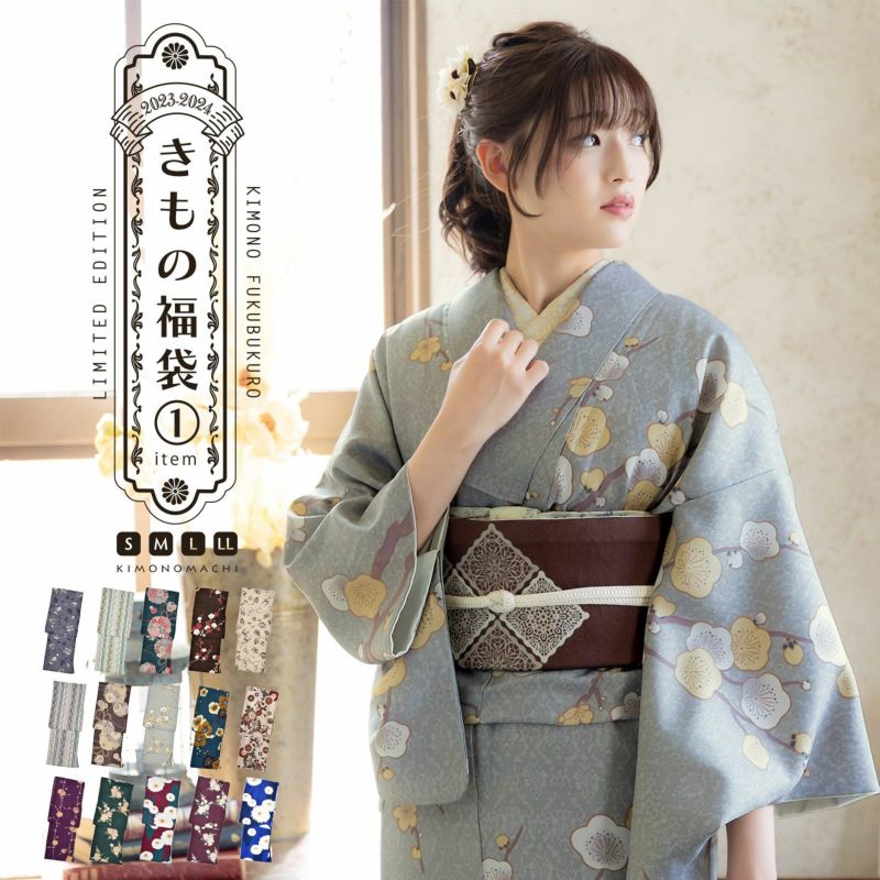 未使用品】 二部式着物 袷仕立 洗える着物 日本製 10柄 京風 小紋 女性レディース 和装 着物