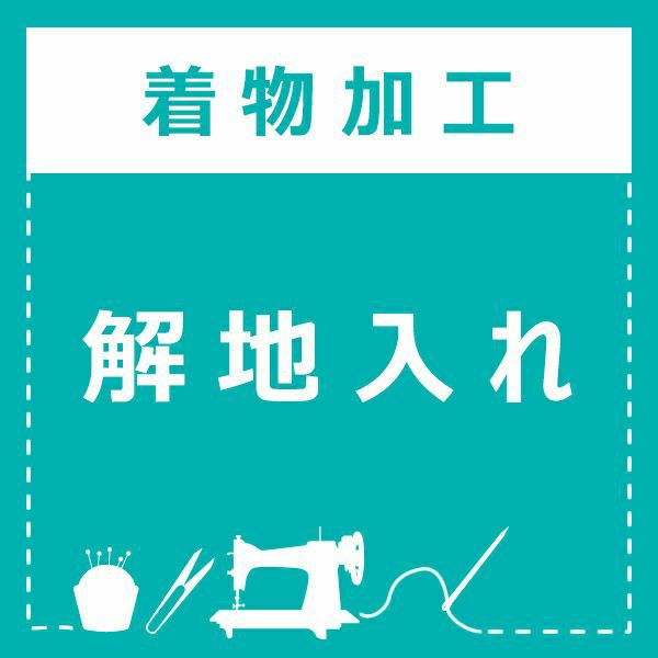解地入れ