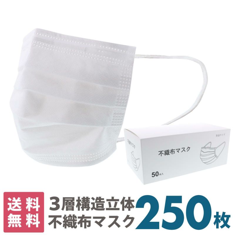 マスク　送料無料　250枚　箱入り 「白マスク　不織布　普通サイズ」 大人用　不織布　プリーツマスク　立体マスク　ノーズフィッター　使い捨て　50枚入り×5箱　レギュラーサイズ　段ボール出荷　大人　箱 【送料無料】【同梱不可】【返品不可】【メール便不可】