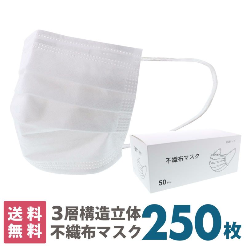 マスク　送料無料　250枚　箱入り 「白マスク　不織布　普通サイズ」 大人用　不織布　プリーツマスク　立体マスク　ノーズフィッター　使い捨て　50枚入り×5箱　レギュラーサイズ　段ボール出荷　大人　箱 【送料無料】【同梱不可】【返品不可】
