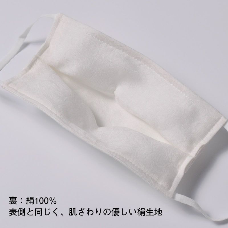 マスク 洗える 絹マスク 10 日本製 抗ウイルス加工剤 抗ウィルスフィルター 不織布 小杉織物 抗酸化作用 抗菌作用 紫外線カット 立体