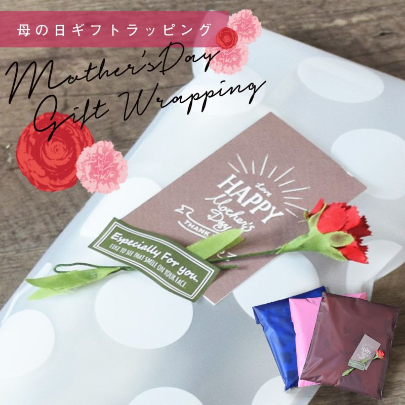 母の日 プレゼント カーネーション ラッピング 「カーネーション（造花）＋母の日カード　ラッピングセット」 母の日ギフト ギフトラッピング プレゼント包装 造花 メッセージカード おしゃれ かわいい 母の日 ギフト Mother's Day