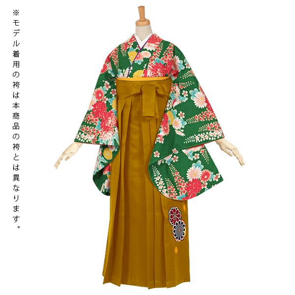 中古品】卒業式袴セット 「二尺袖:緑 菊と藤の花+袴:金茶×菊 中古品】卒業式袴セット 「二尺袖:緑 菊と藤の花+袴:金茶×菊