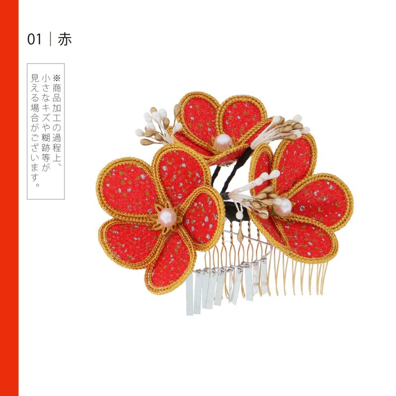 000000023917-02-l.jpg?t=