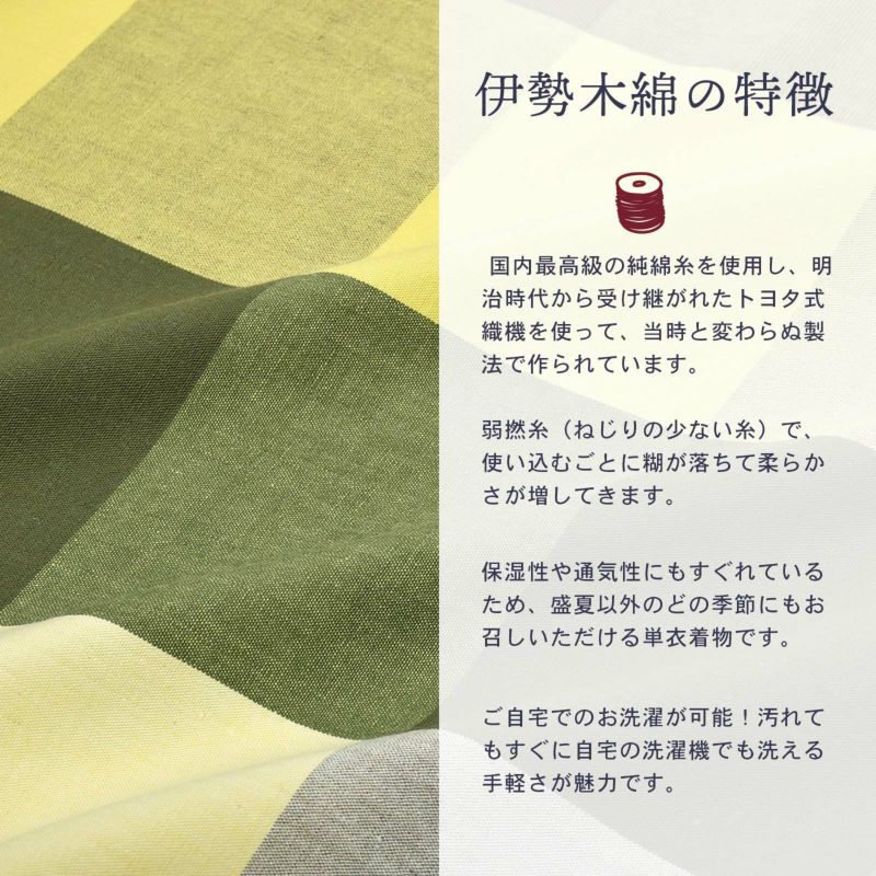 伊勢木綿 洗える着物 単品 「箱格子 枯芝色」 お仕立て上がり 木綿
