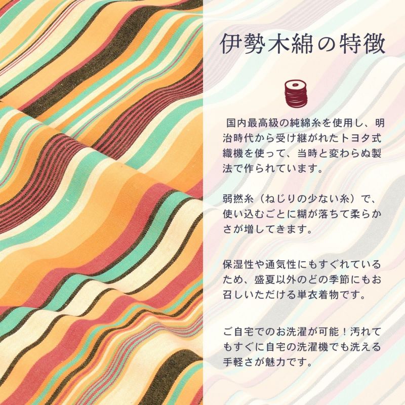 000000025241-05-l.jpg?t=