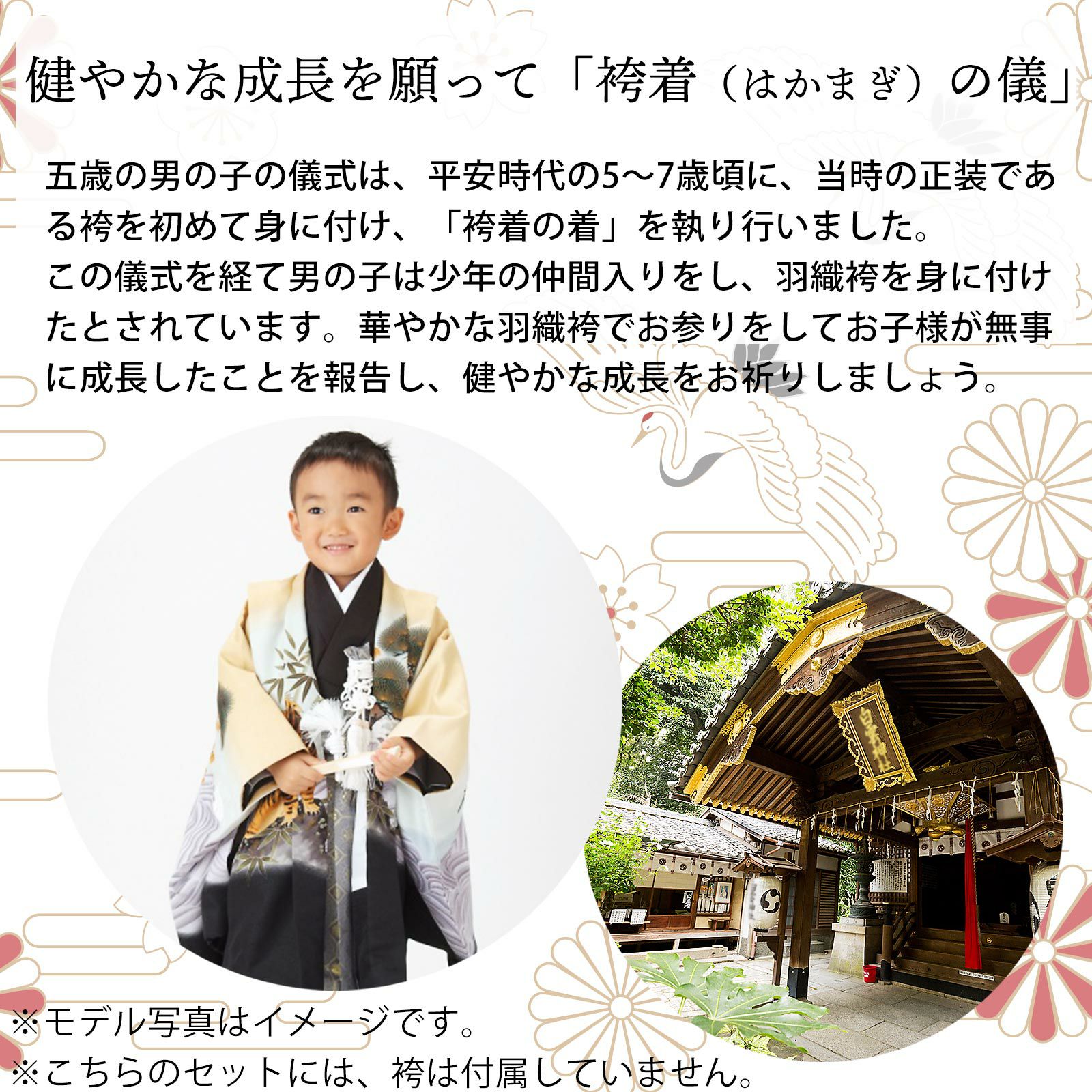 七五三 五歳 男児 羽織・着物・襦袢3点セット L寸 綸子地 しかる オレンジ
