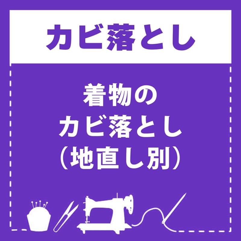 カビ落としのみ（地直しは別料金）