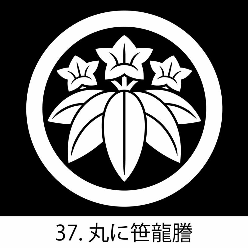 貼り紋 家紋 シール 貼紋 6枚セット 大人 メンズ レディース